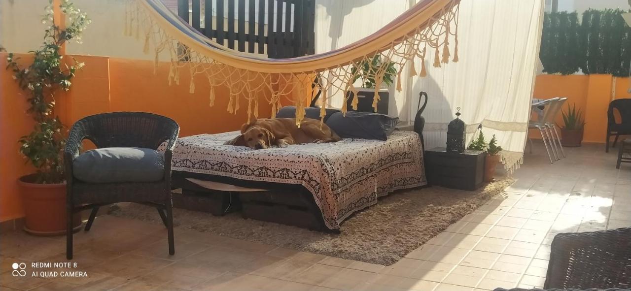 알리칸테 La Casita De Celia 아파트 외부 사진